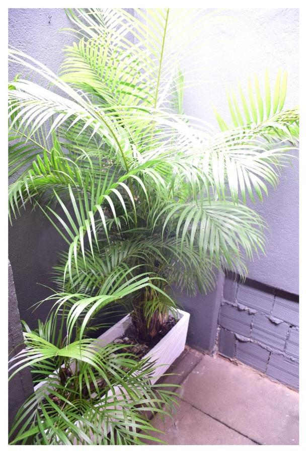Beach House Ilha Grande Hostel 外观 照片